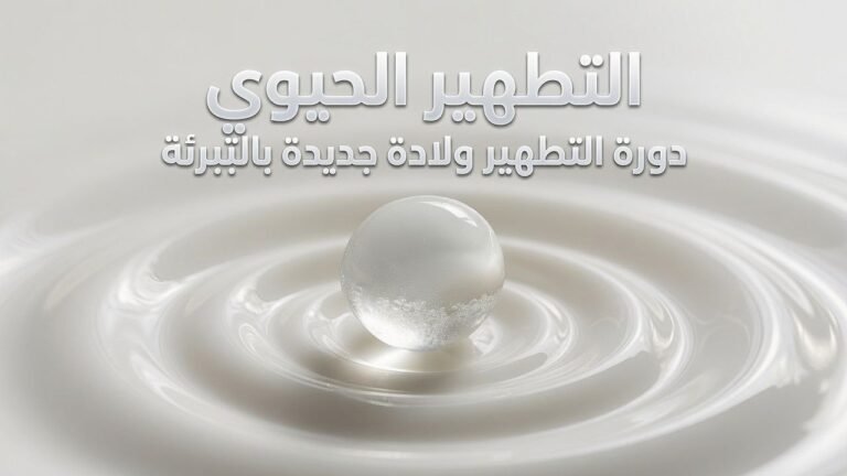 دورة التطهير ولادة جديدة بالتبرئة 1